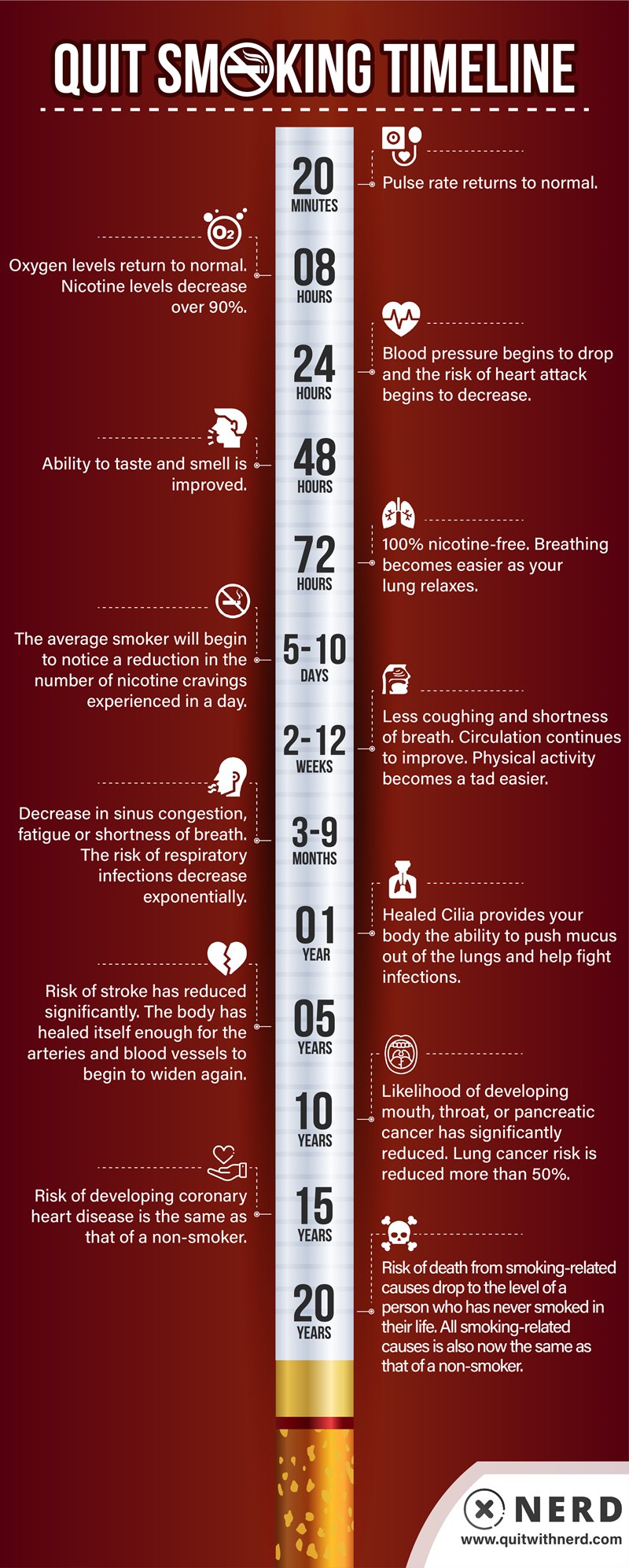 Quit Smoking Timeline - What Happens When You Stop Smoking (INFOGRAPHIC)