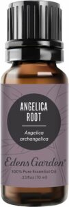 Edens Garden Angelica Root Essential Oil, 100% Pure Therapeutic Grade