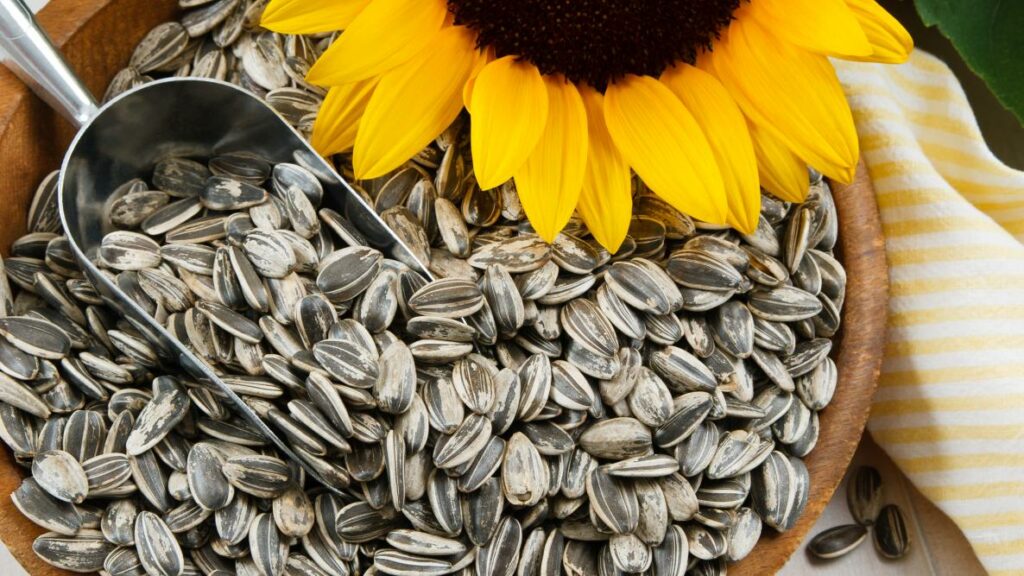Sunflower Seeds to quit smoking naturally